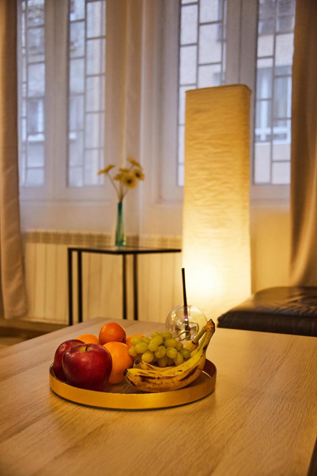 Luxury Cozy Modern Appartement Sofia